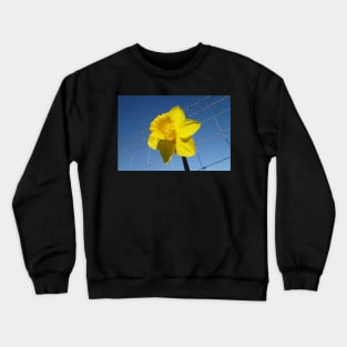 Daffy On The Safe Side Of The Fence Crewneck Sweatshirt